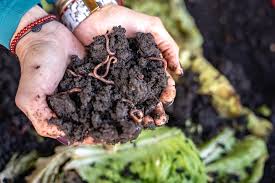 Build Your Own "Black Gold" Factory (Compost & Worm Farms)