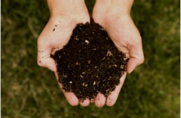 compost is black gold, why is compost called black gold, black gold compost, benefits of compost, compost for garden soil, how to make compost, finished compost, compost vs fertiliser, how to use compost in the garden, compost for vegetables, compost Australia, organic matter, soil improvement, healthy garden soil