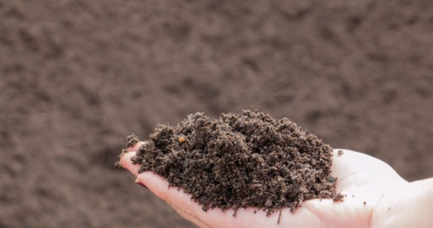 Organic Garden Compost